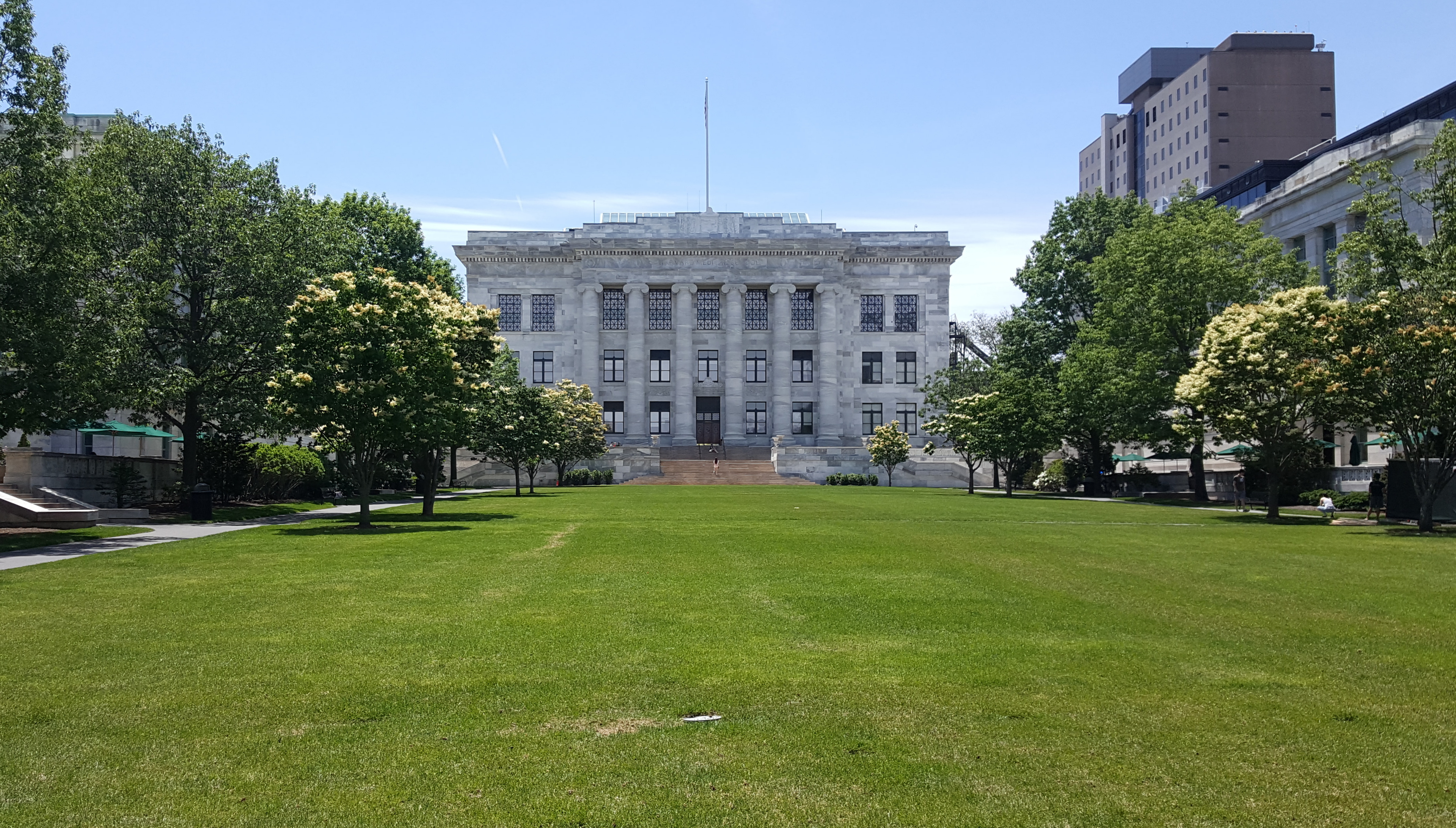 Harvard Med School